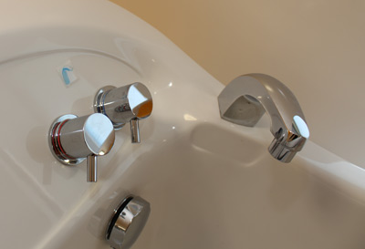 bath-controls silver bath controls